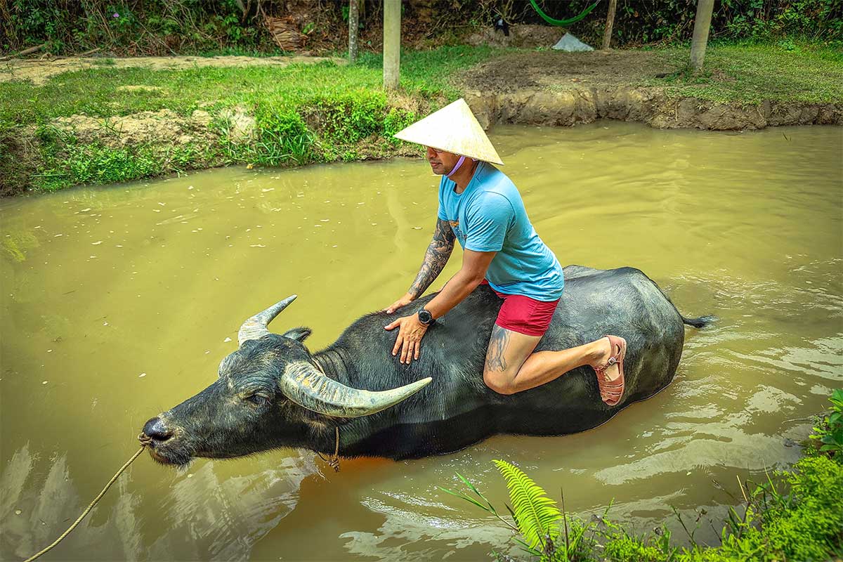 Cưỡi trâu tại Duck Stop Phong Nha