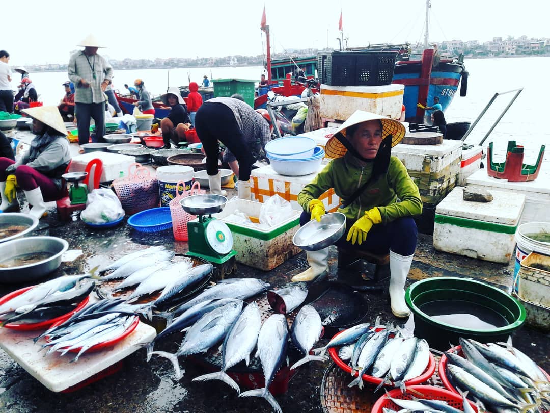 Hải sản chợ Đồng Hới