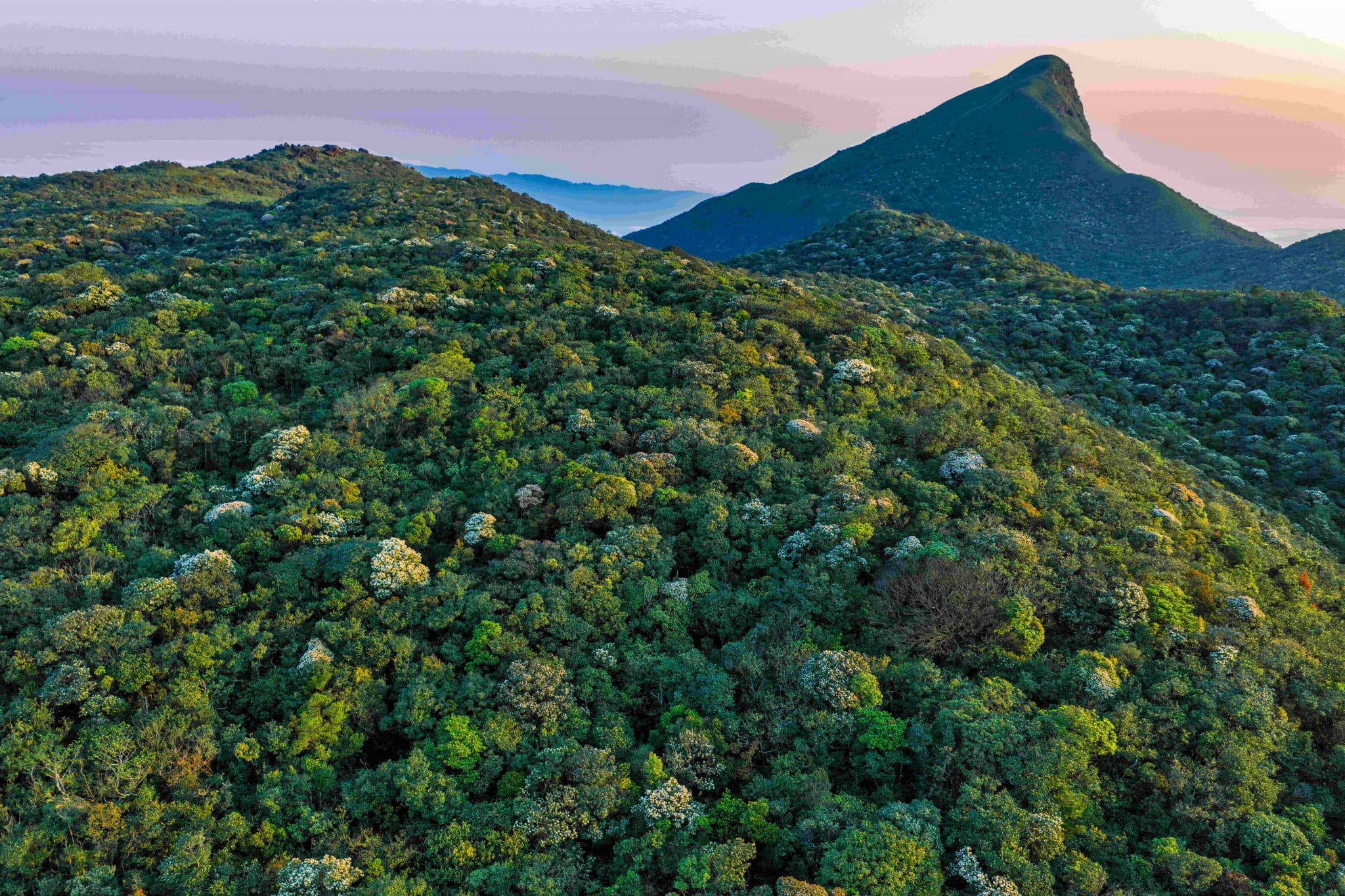 Mùa hoa du lịch Quảng Bình Quảng Trị